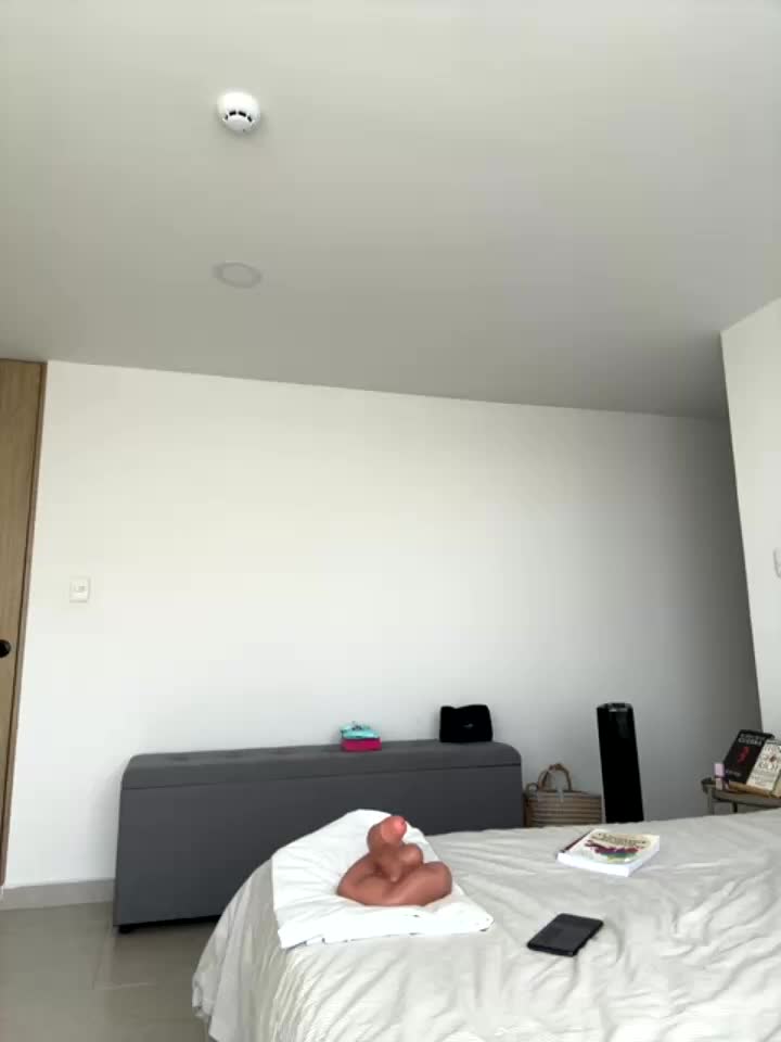Thescorpionfr_ cam recording